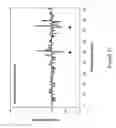 Fig. 19 - Identification of nucleic acid template-linked barcodes comprising nucleic acid modifications