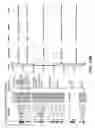 Fig. 15 - Method for the cytological analysis of cervical cells