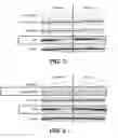 Fig. 03 - Methods and compositions for detecting and treating drug resistant AKT mutant