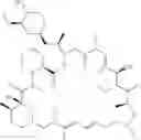 Fig. 52 - Methods and compositions for detecting and treating drug resistant AKT mutant