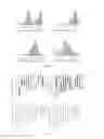 Fig. 03 - Rice whole genome breeding chip and application thereof