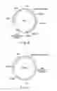 Fig. 13 - METHOD OF OBTAINING EPIGENETIC INFORMATION OF CELL, METHOD OF DETERMINING CHARACTERISTICS OF CELL, METHOD OF DETERMINING DRUG SENSITIVITY OR SELECTING TYPE OF DRUG OR IMMUNOTHERAPEUTIC AGENT, METHOD OF DIAGNOSING DISEASE, SELF-REPLICATING VECTOR, ASSAY KIT AND ANALYTIC DEVICE