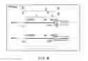 Fig. 14 - METHOD OF OBTAINING EPIGENETIC INFORMATION OF CELL, METHOD OF DETERMINING CHARACTERISTICS OF CELL, METHOD OF DETERMINING DRUG SENSITIVITY OR SELECTING TYPE OF DRUG OR IMMUNOTHERAPEUTIC AGENT, METHOD OF DIAGNOSING DISEASE, SELF-REPLICATING VECTOR, ASSAY KIT AND ANALYTIC DEVICE
