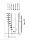 Fig. 19 - Methods of detecting copy number variation