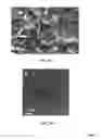Fig. 04 - SELF-IMPROVING ELECTROCATALYSTS FOR GAS EVOLUTION REACTIONS