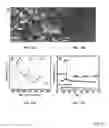 Fig. 16 - SELF-IMPROVING ELECTROCATALYSTS FOR GAS EVOLUTION REACTIONS