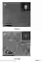 Fig. 26 - SELF-IMPROVING ELECTROCATALYSTS FOR GAS EVOLUTION REACTIONS