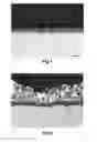Fig. 02 - METALLIC SUBSTRATE WITH CERAMIC COATING AND METHOD FOR OBTAINING IT