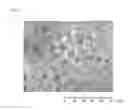 Fig. 04 - METHOD FOR PRODUCING DRAWN CONJUGATED FIBER, AND DRAWN CONJUGATED FIBER