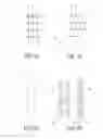 Fig. 02 - Composite material comprising a warp-knitted textile panel having first and second opposing faces, said first face being coated with a layer consisting of at least one polymer material, and a method for the production thereof