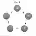 Fig. 07 - METHOD FOR DISPLAYING WASH CYCLE