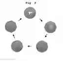 Fig. 08 - METHOD FOR DISPLAYING WASH CYCLE