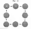 Fig. 10 - METHOD FOR DISPLAYING WASH CYCLE