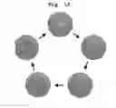 Fig. 12 - METHOD FOR DISPLAYING WASH CYCLE