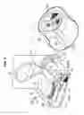 Fig. 04 - Clothes dryer