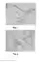 Fig. 02 - A METHOD OF PRODUCING OXIDIZED OR MICROFIBRILLATED CELLULOSE