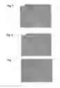 Fig. 05 - A METHOD OF PRODUCING OXIDIZED OR MICROFIBRILLATED CELLULOSE