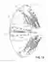 Fig. 20 - Fire hydrant cleaning device