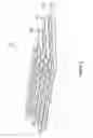 Fig. 10 - Portable water-inflatable barrier