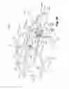 Fig. 19 - Collection tank