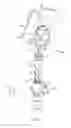 Fig. 11 - Foldable ladder