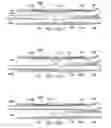 Fig. 17 - Deflector assembly for a lateral wellbore