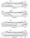 Fig. 18 - Deflector assembly for a lateral wellbore
