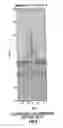 Fig. 09 - Jet perforating device for creating a wide diameter perforation