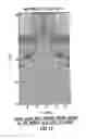 Fig. 12 - Jet perforating device for creating a wide diameter perforation