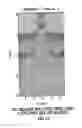 Fig. 14 - Jet perforating device for creating a wide diameter perforation
