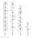 Fig. 09 - Casings for use in a system for fracturing rock within a bore