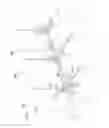 Fig. 26 - Casings for use in a system for fracturing rock within a bore