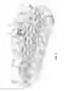 Fig. 04 - Thermal displacement compensation assembly for a work vehicle prime mover