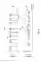 Fig. 07 - Optimizing intermittent fuel pump control