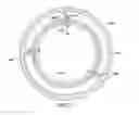 Fig. 08 - System for centering wye ring in-situ