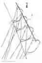 Fig. 08 - Floating wind powered structure