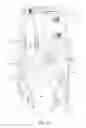 Fig. 20 - Pump