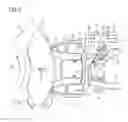 Fig. 04 - Brake Application Device For A Disk Brake System