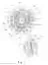 Fig. 04 - Spindle drive for an adjusting element of a motor vehicle