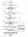 Fig. 03 - System and method for controlling shift for vehicle