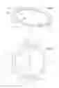 Fig. 04 - Seal for an Electrolyser Cell and Electrolyser Cell Provided with Such a Seal