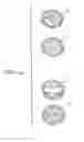 Fig. 14 - LED desk light having more than one function