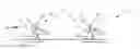 Fig. 01 - Structure of a concentrator mirror for concentrating solar energy