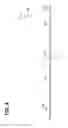 Fig. 05 - Fin for heat exchanger