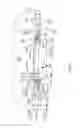 Fig. 06 - Ejection port dust gate for automatic weapons