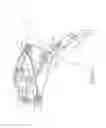 Fig. 05 - Narrow crossbow with large power stroke
