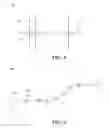 Fig. 06 - Roundtrip range projection