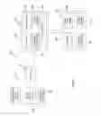 Fig. 13 - Relative wind display and landing aid