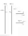 Fig. 11 - Thermochromic efficiency indicator