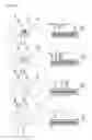 Fig. 11 - Biomolecule extraction device and biomolecule extraction method